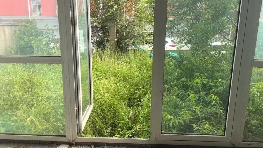 济南市莱芜区汶水源小区C14号二单元东户一、二楼房产一套