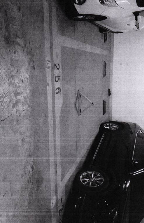 济南市槐荫区淄博路66号鑫苑世家公馆花园B-4地块四期地下车库-256