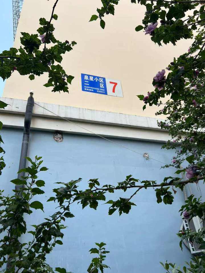 济南市天桥区东工商河路17号泉星小区二区7号楼2-702房产(证号:天220845)及济南市天桥区东工商河路17号泉星小区二区7号楼2-114地下室(证号:天220844)