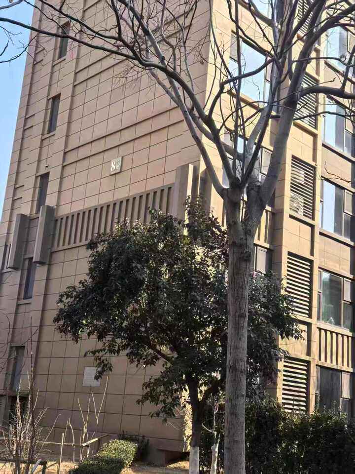 济南市市中区望岳路1777号唐人中心四区8号楼2-101房产