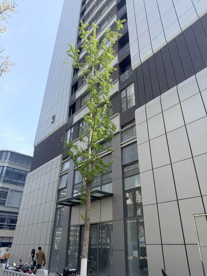 济南市历下区山左路58号绿地中央公馆商业二区3号楼2326房产