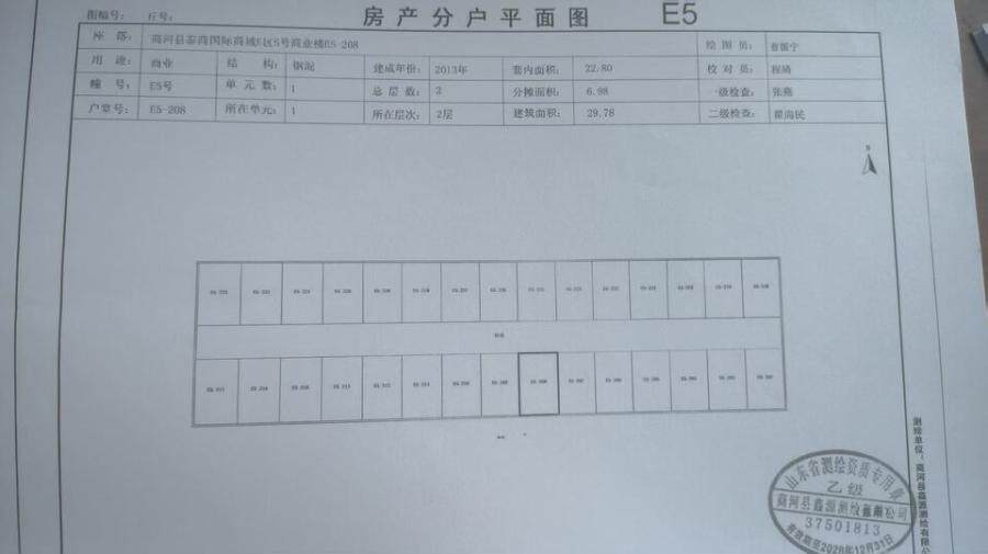 商河县泰商国际商城E区5号商业楼208室