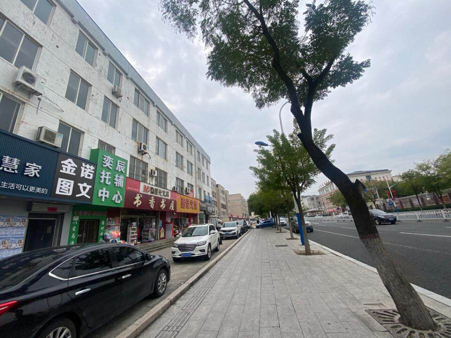 济南市莱芜区文化北路兰馨巷120号兰馨园60号楼东103号房地产