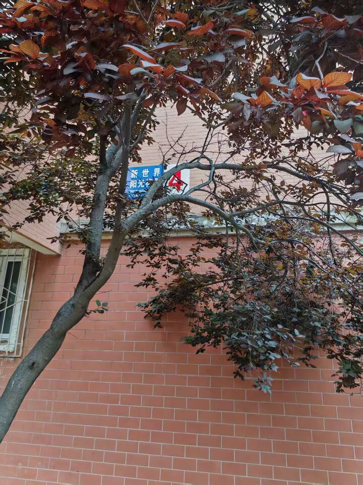 山东省济南市槐荫区经七路669号4号楼4-301号房产（网签不动产权证号：槐062996）及4号楼-1储藏室
