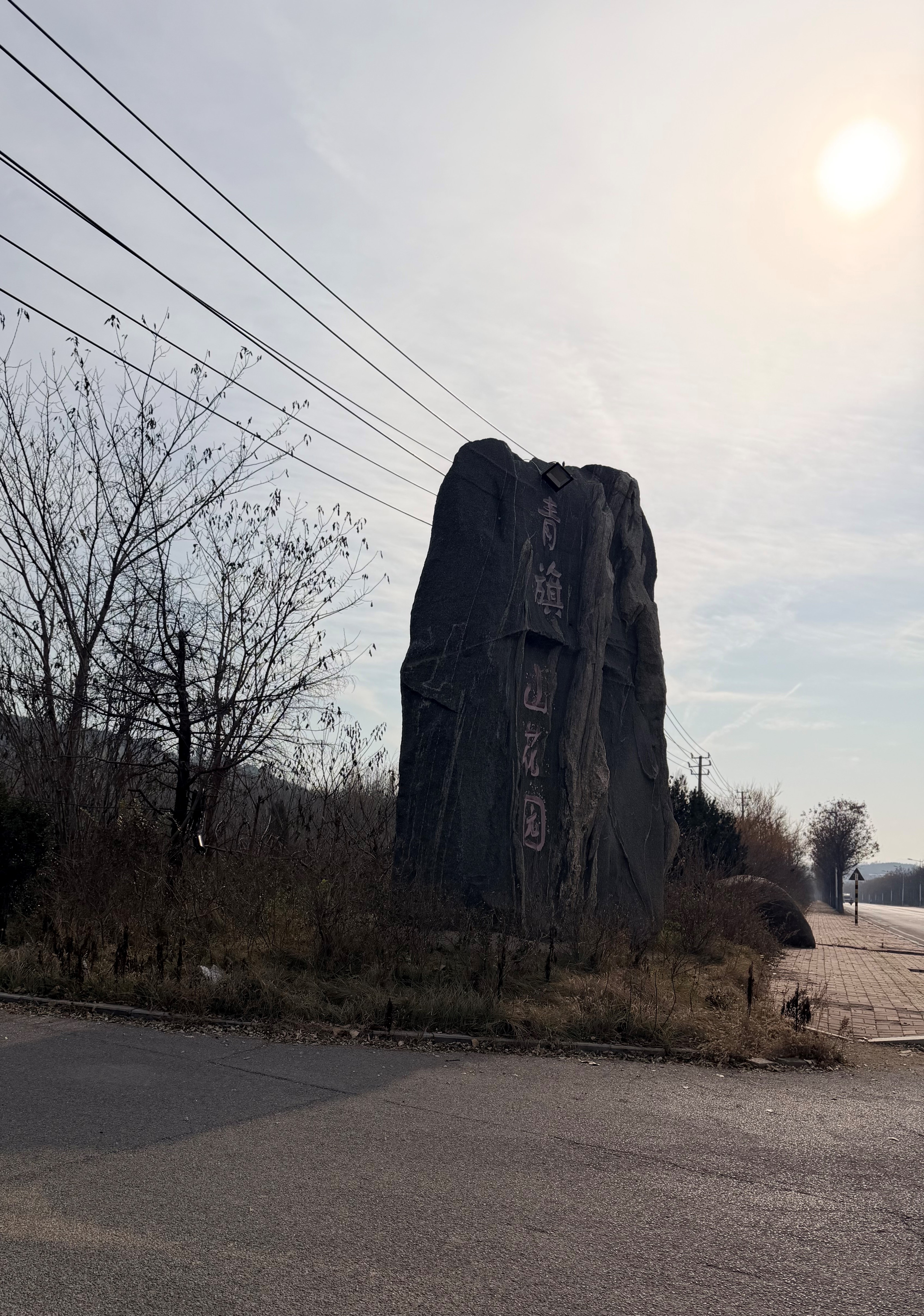 济南市章丘区青旗山花园住宅小区4号楼住宅505房产