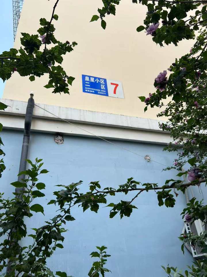 济南市天桥区东工商河路17号泉星小区二区7号楼2-702房产(证号:天220845)及济南市天桥区东工商河路17号泉星小区二区7号楼2-114地下室(证号:天220844)